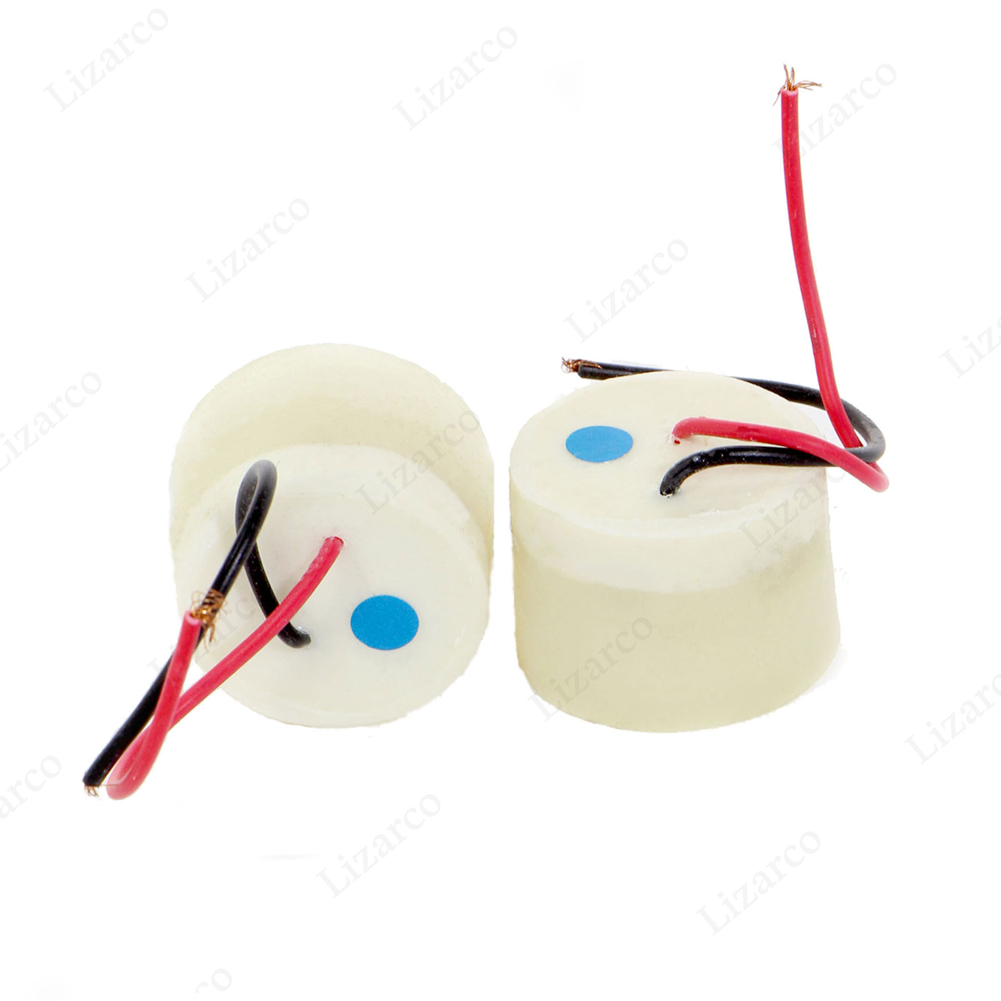 فروشگاه لیزارکو