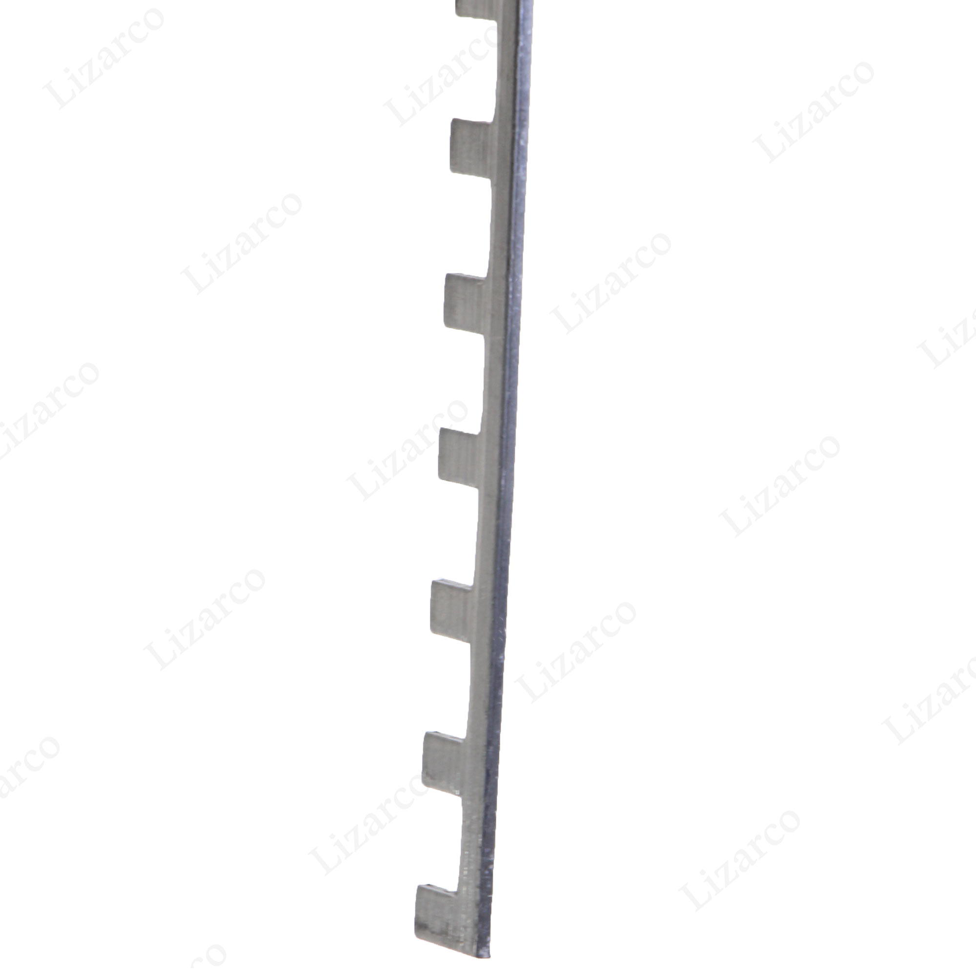 فروشگاه لیزارکو