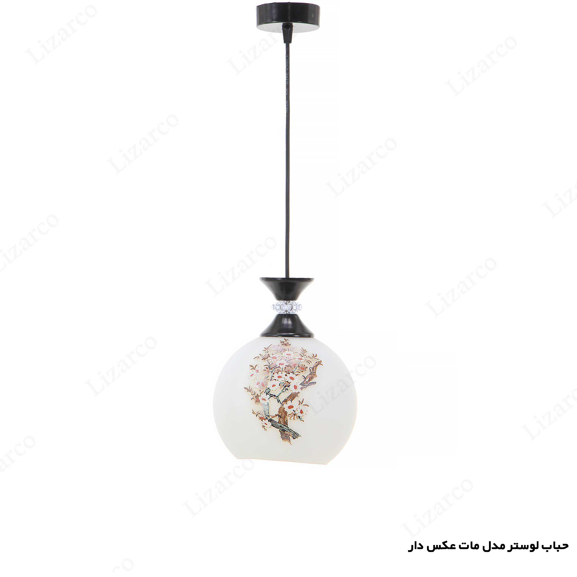 فروشگاه لیزارکو