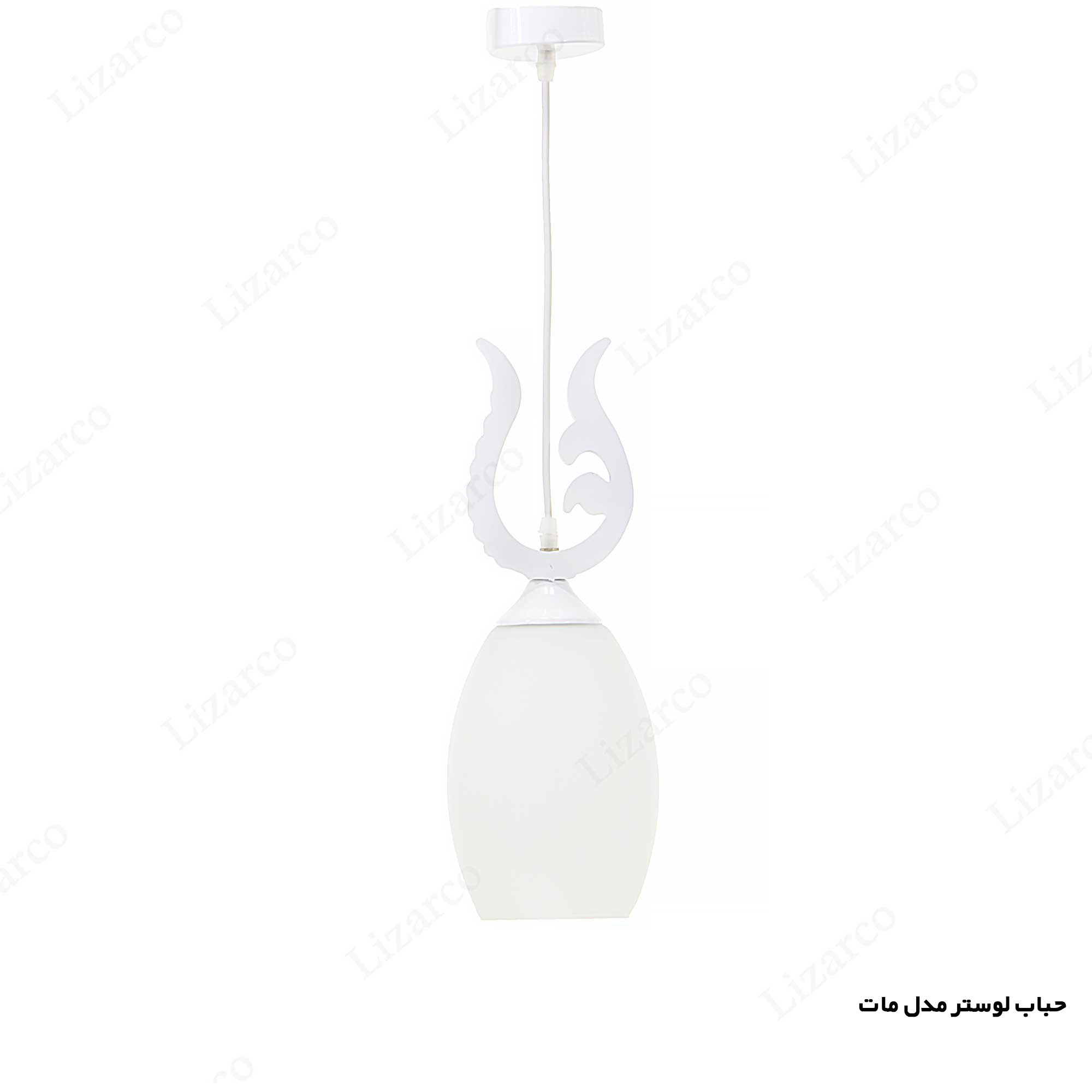 فروشگاه لیزارکو