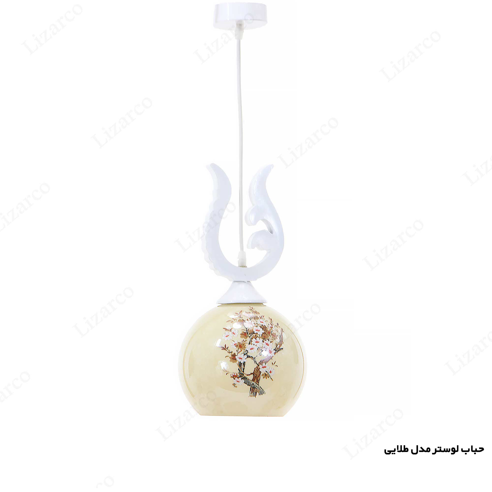 فروشگاه لیزارکو