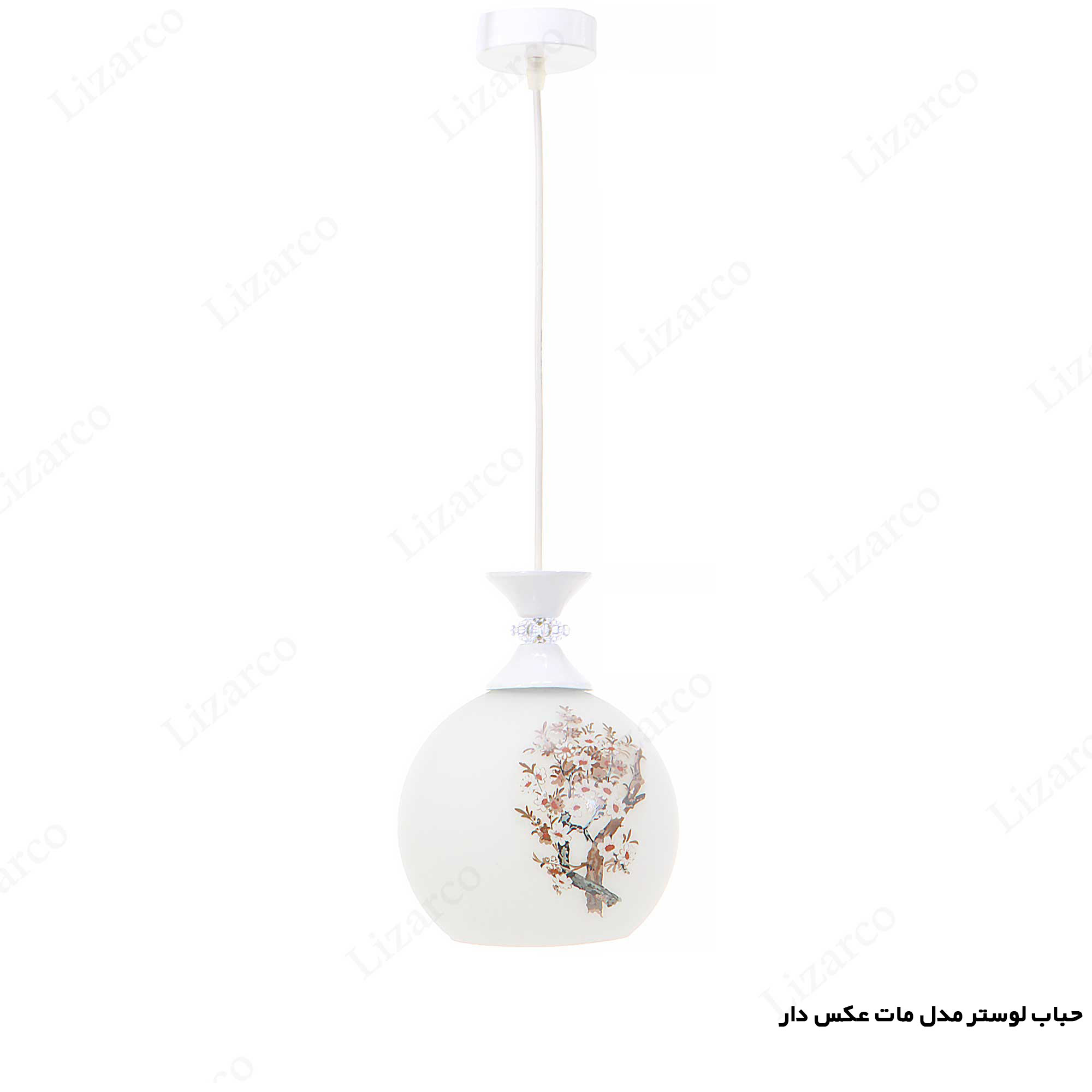 فروشگاه لیزارکو